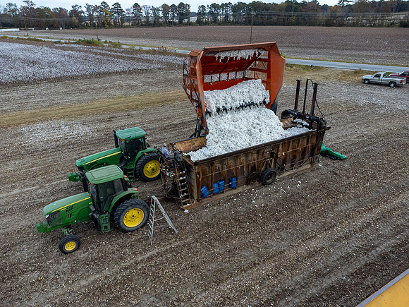 Cotton Harvest-0188