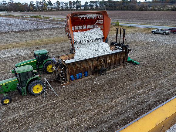 Cotton Harvest-0187