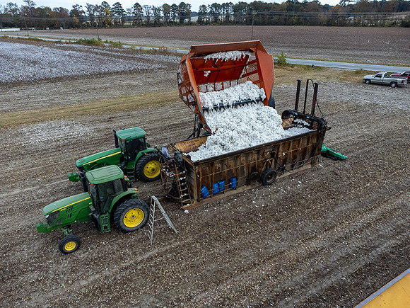 Cotton Harvest-0189
