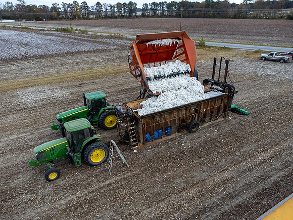 Cotton Harvest-0190