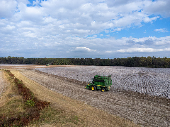 Cotton Harvest-0200