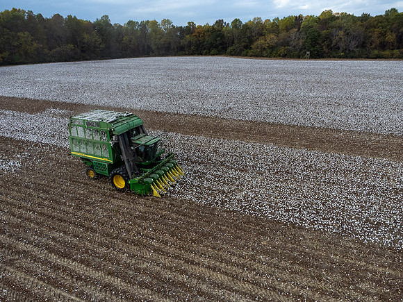 Cotton Harvest-0206