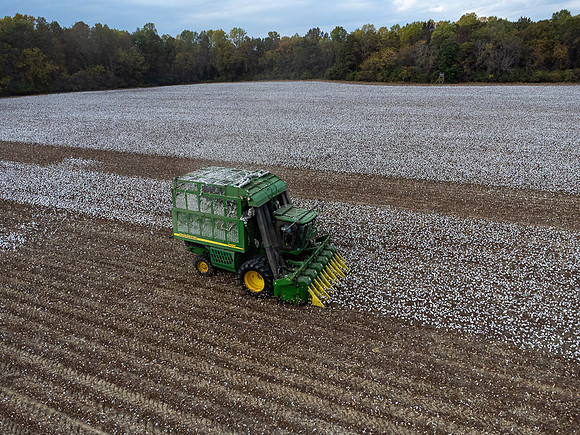 Cotton Harvest-0207