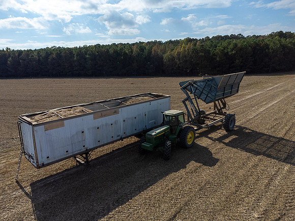 Wilson NC Peanut Harvest-0181