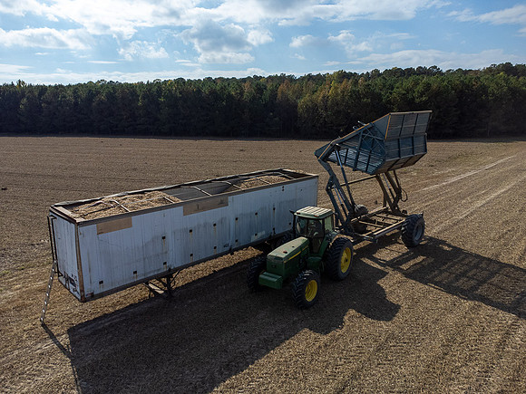Wilson NC Peanut Harvest-0179