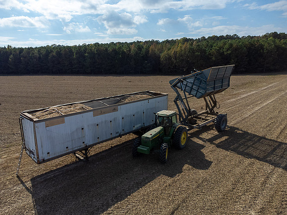 Wilson NC Peanut Harvest-0180