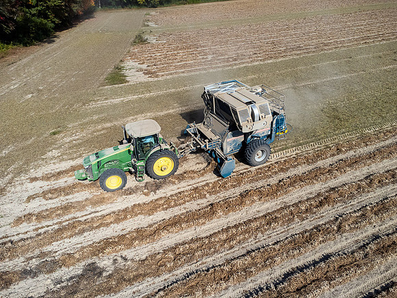 Wilson NC Peanut Harvest-0174