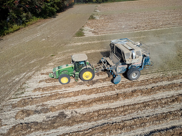 Wilson NC Peanut Harvest-0175