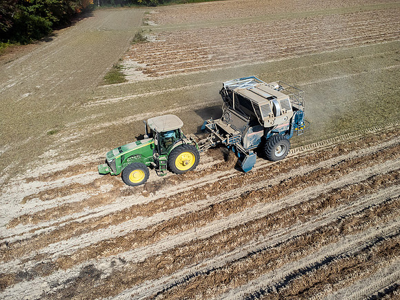 Wilson NC Peanut Harvest-0173