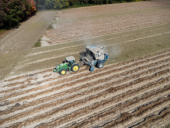 Wilson NC Peanut Harvest-0172