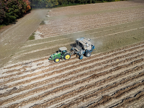 Wilson NC Peanut Harvest-0171
