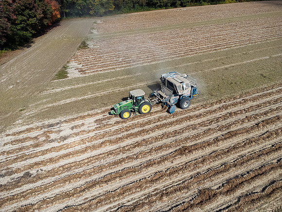 Wilson NC Peanut Harvest-0170