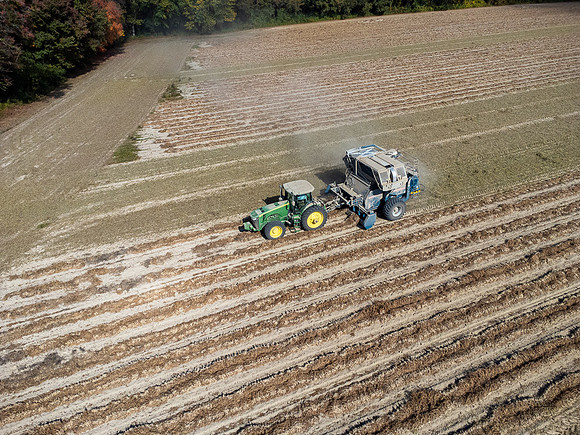 Wilson NC Peanut Harvest-0169