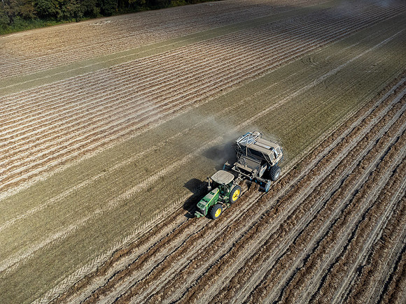 Wilson NC Peanut Harvest-0167