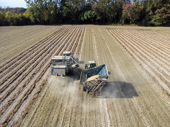 Wilson NC Peanut Harvest-0163