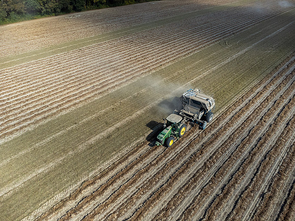 Wilson NC Peanut Harvest-0166