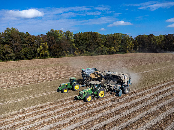 Wilson NC Peanut Harvest-0162