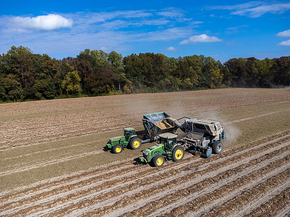 Wilson NC Peanut Harvest-0161