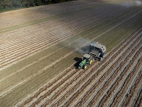 Wilson NC Peanut Harvest-0165