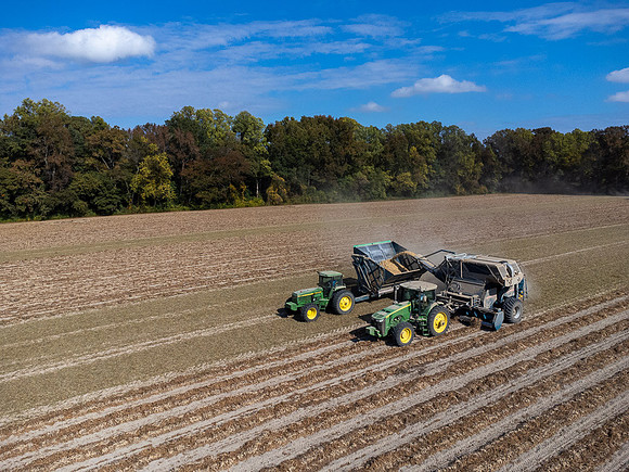 Wilson NC Peanut Harvest-0159