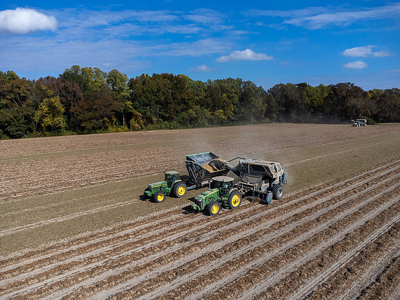 Wilson NC Peanut Harvest-0157