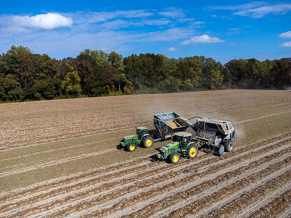 Wilson NC Peanut Harvest-0160