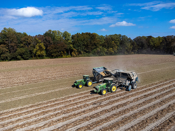 Wilson NC Peanut Harvest-0158