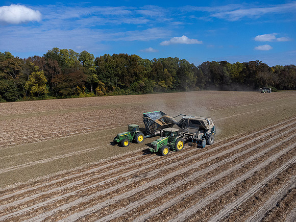 Wilson NC Peanut Harvest-0156