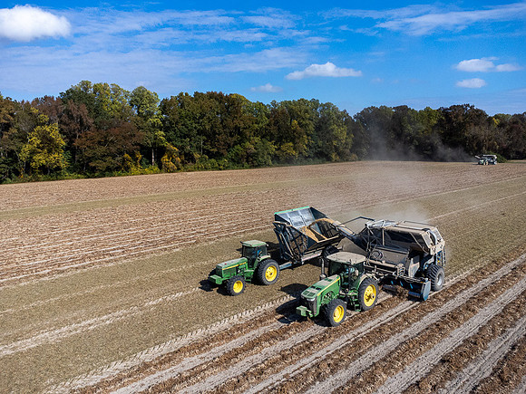 Wilson NC Peanut Harvest-0155
