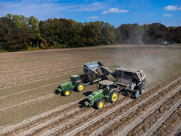 Wilson NC Peanut Harvest-0151