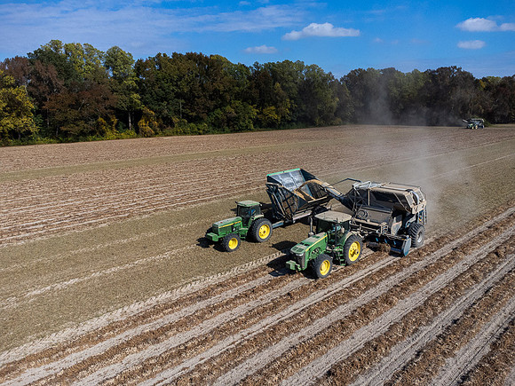 Wilson NC Peanut Harvest-0153