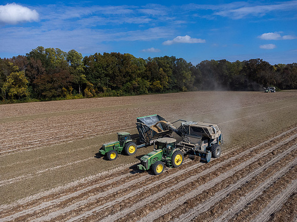 Wilson NC Peanut Harvest-0154