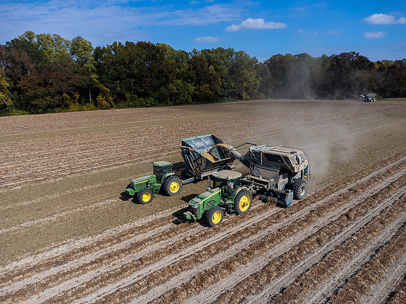 Wilson NC Peanut Harvest-0152