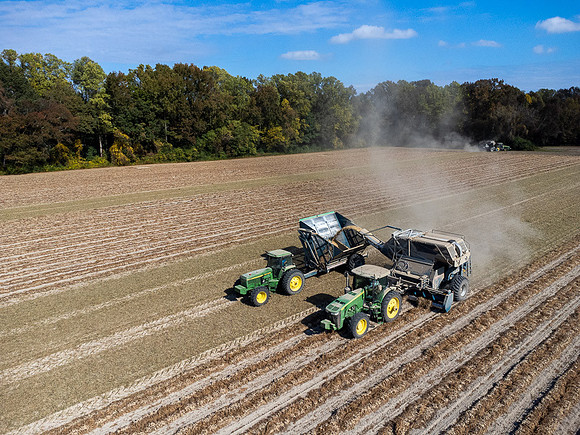 Wilson NC Peanut Harvest-0148