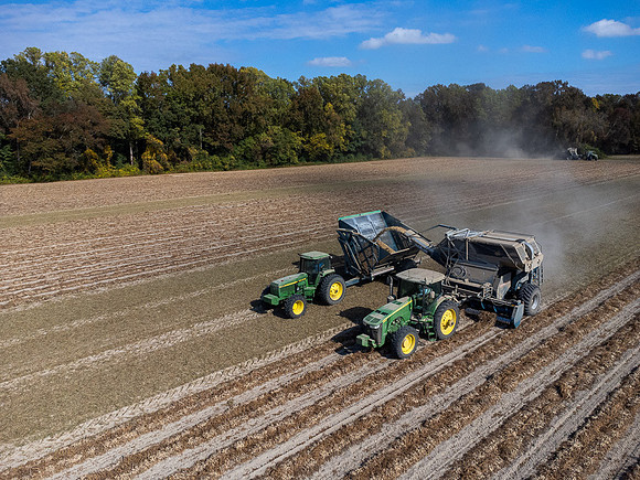 Wilson NC Peanut Harvest-0149