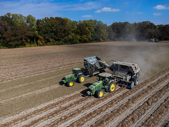 Wilson NC Peanut Harvest-0150