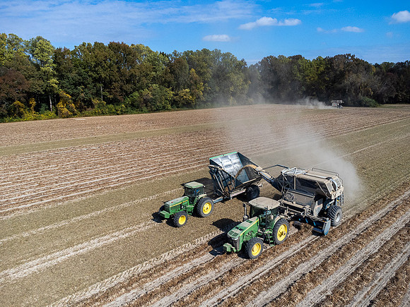 Wilson NC Peanut Harvest-0145