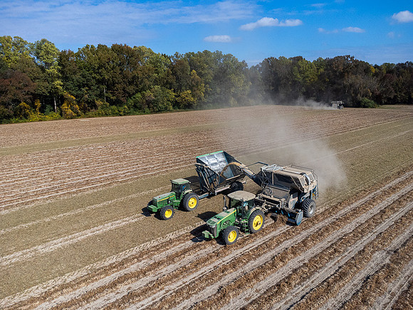 Wilson NC Peanut Harvest-0146