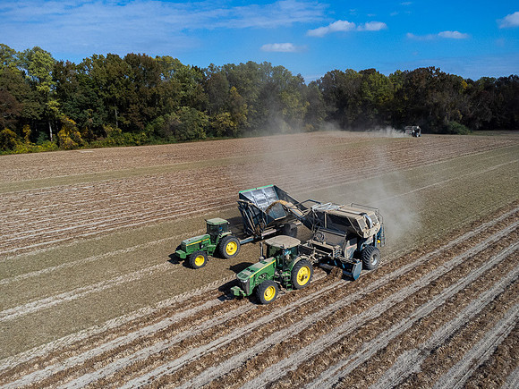 Wilson NC Peanut Harvest-0143