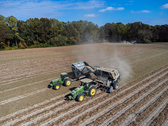 Wilson NC Peanut Harvest-0144