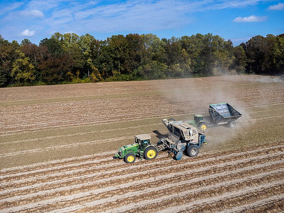 Wilson NC Peanut Harvest-0140