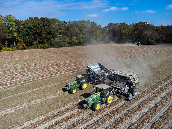 Wilson NC Peanut Harvest-0142