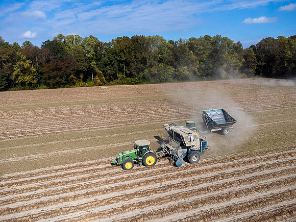 Wilson NC Peanut Harvest-0141