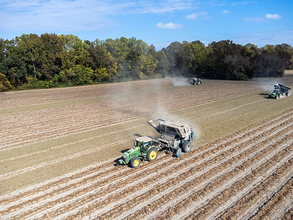 Wilson NC Peanut Harvest-0138