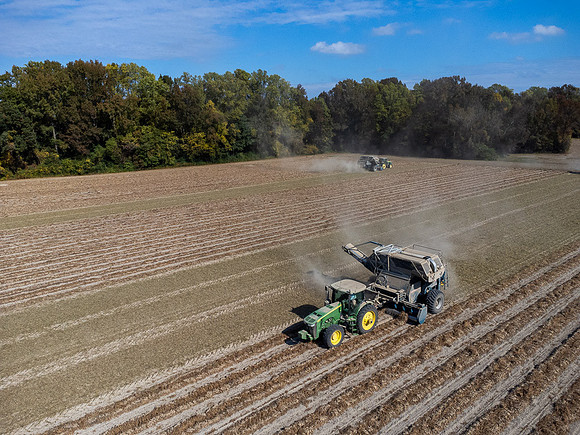 Wilson NC Peanut Harvest-0135