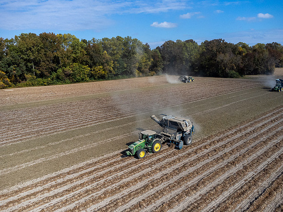 Wilson NC Peanut Harvest-0137