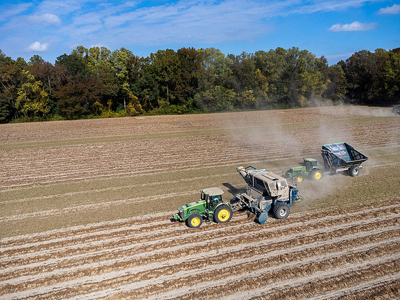 Wilson NC Peanut Harvest-0139