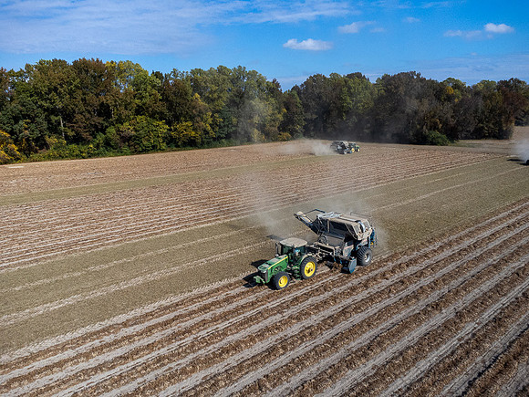 Wilson NC Peanut Harvest-0136