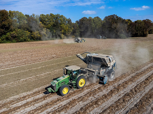 Wilson NC Peanut Harvest-0132