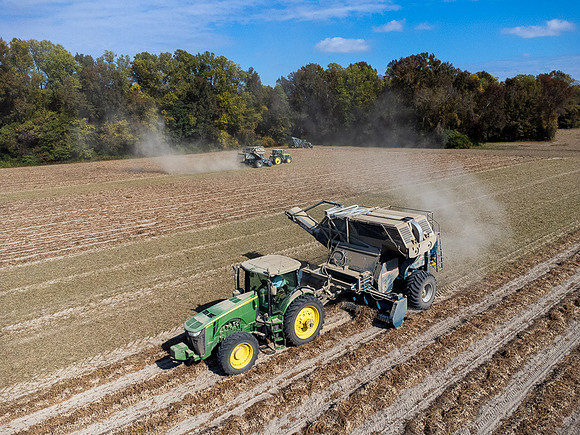 Wilson NC Peanut Harvest-0130